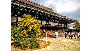 Cung điện Hoàng gia Kyoto được xây dựng vào năm 794 sau Công nguyên